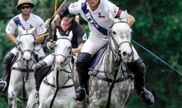 Houston Polo 2024