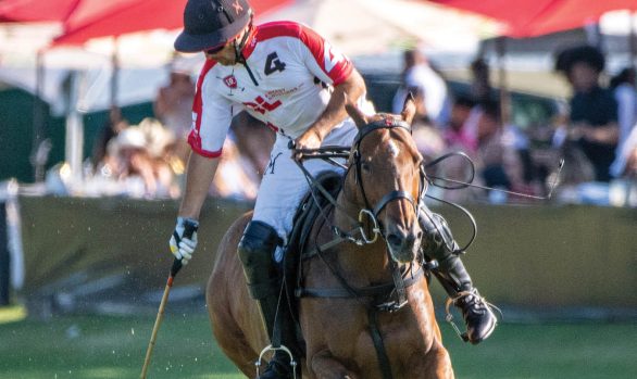 Houston Polo 2026